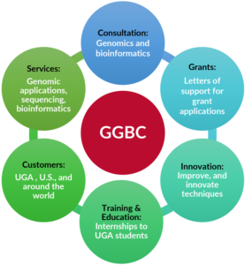 Graphic about Georgia Genomics organization: consultation, grants, innovation, training and education, customers, and services